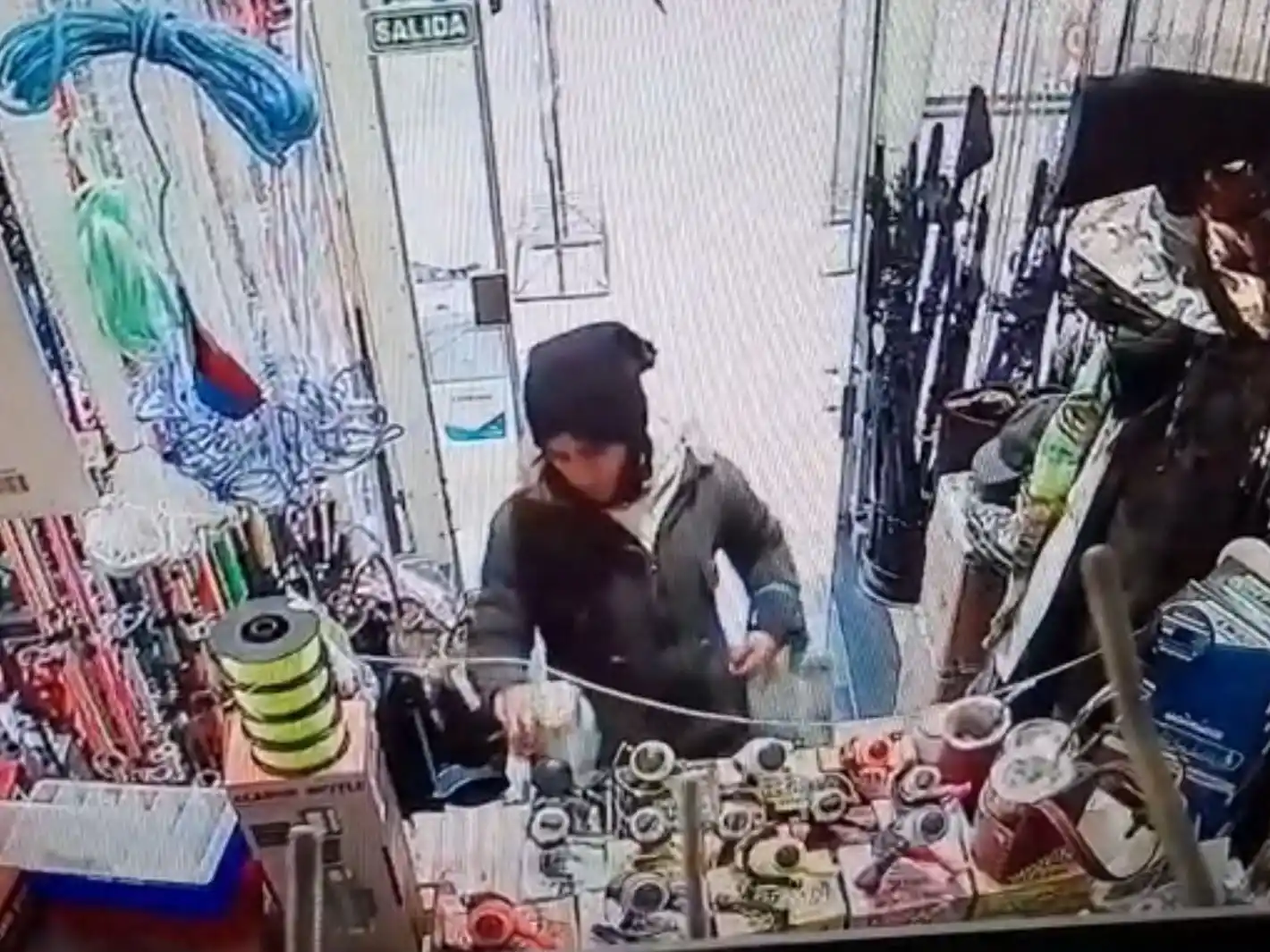 mechera la tortuga loca