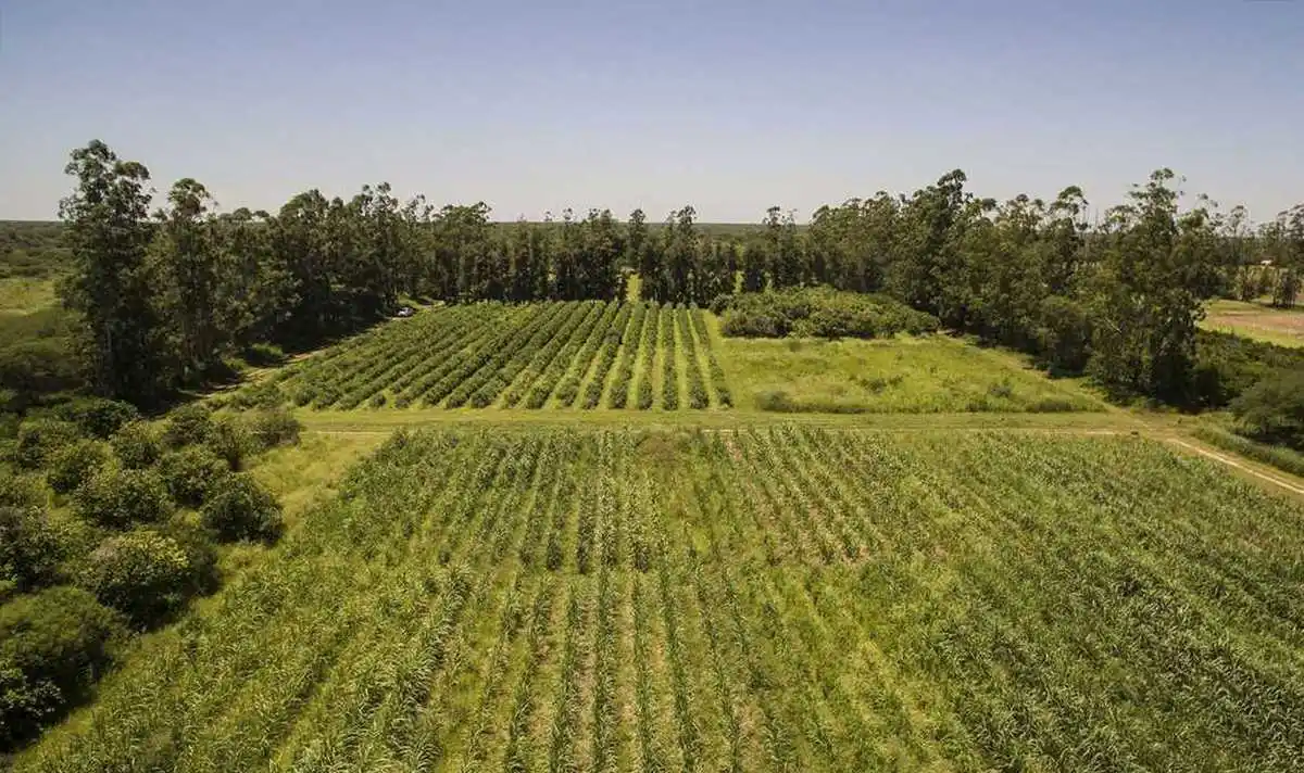 Celebra sus bodas de plata el primer
CEDEVA instalado en Laguna Yema