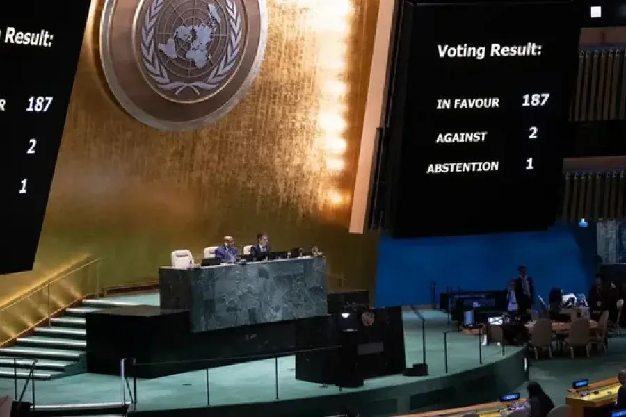 La Argentina fue el único país que votó en contra de "eliminar las formas de violencia contra las mujeres y las niñas"
