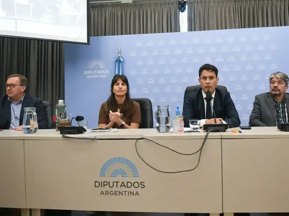 La Comisión de Deportes d e la Cámara de Diputados recibió a deportistas y atletas para hablar de la fuerte crisis que sufre el deporte argentino. Foto: Diputados TV