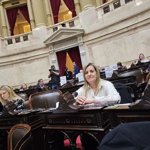 Antola le dijó no al veto al financiamiento universitario