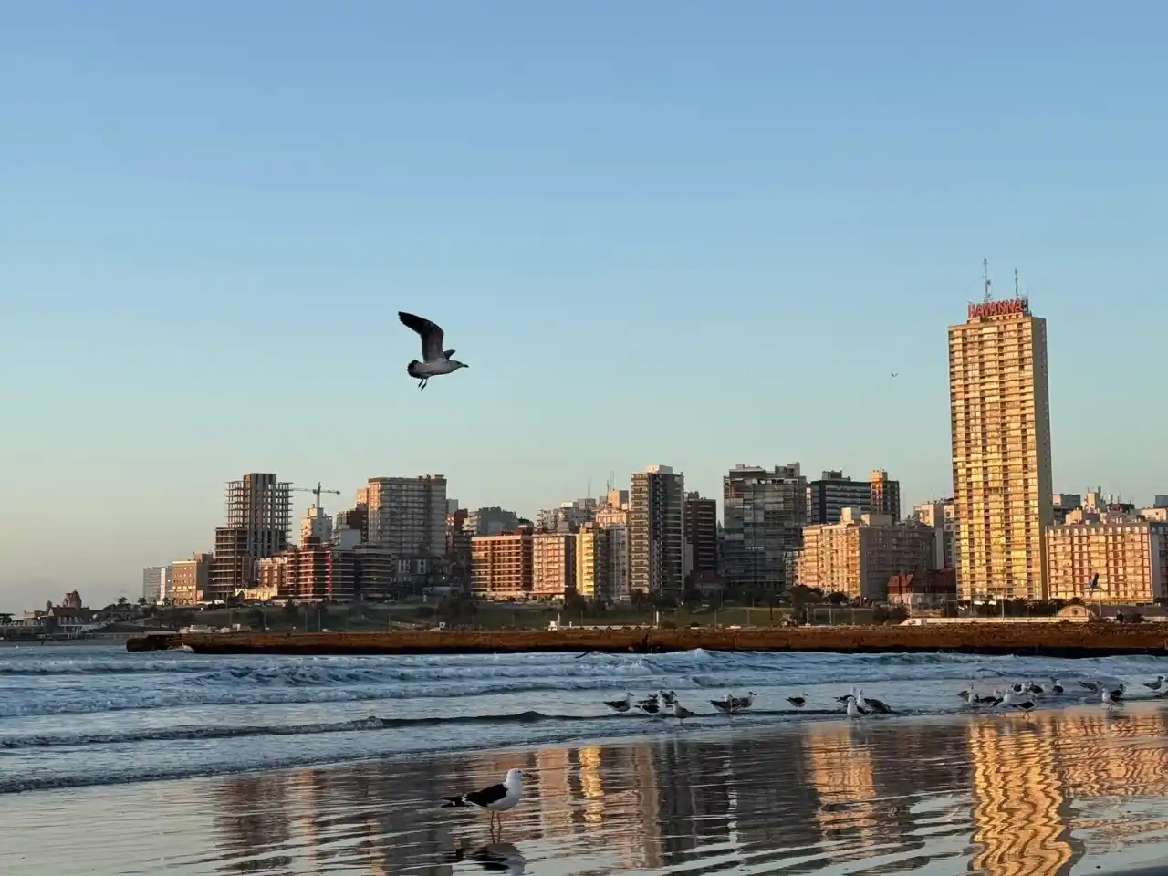 Por ahora, no pasan el feriado del 12 de octubre