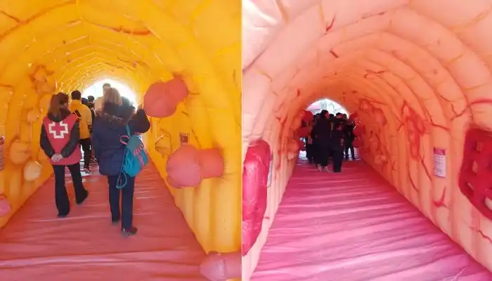 Instalarán un colon inflable para hablar sobre el cáncer con toda la familia