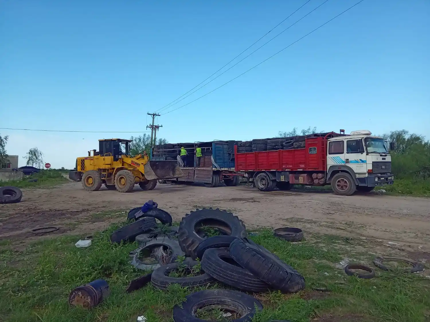 Neumáticos fuera de uso fueron enviados a empresa recicladora