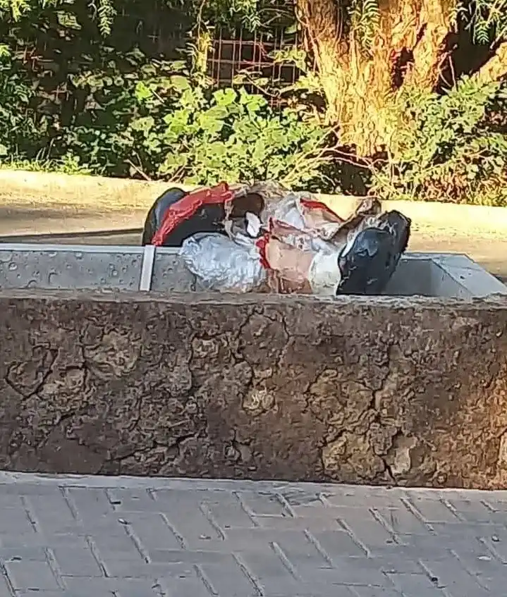 Una camioneta colisionó la imagen de Mafalda en Victoria