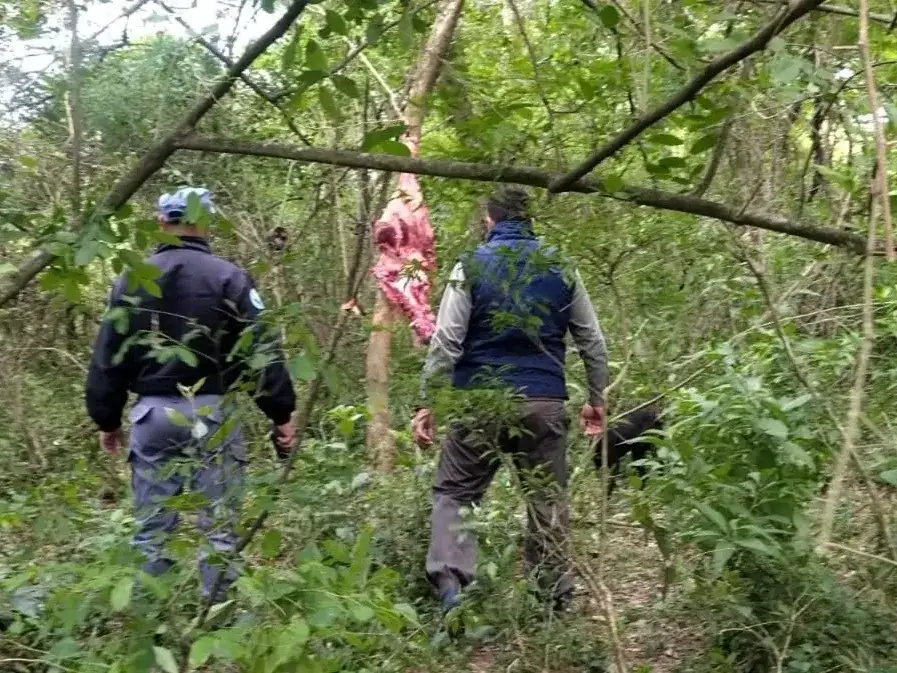 Subteniente Perín: secuestraron carne clandestina y detuvieron a un joven