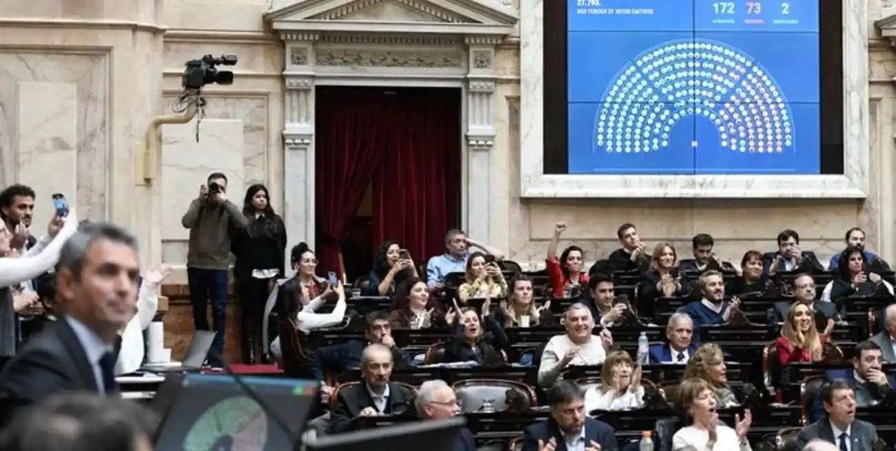 La Cámara de Diputados logró revertir los vetos presidenciales con fondos para Universidades y Hospitales pediátricos como el Garrahan. Foto: HCDN.