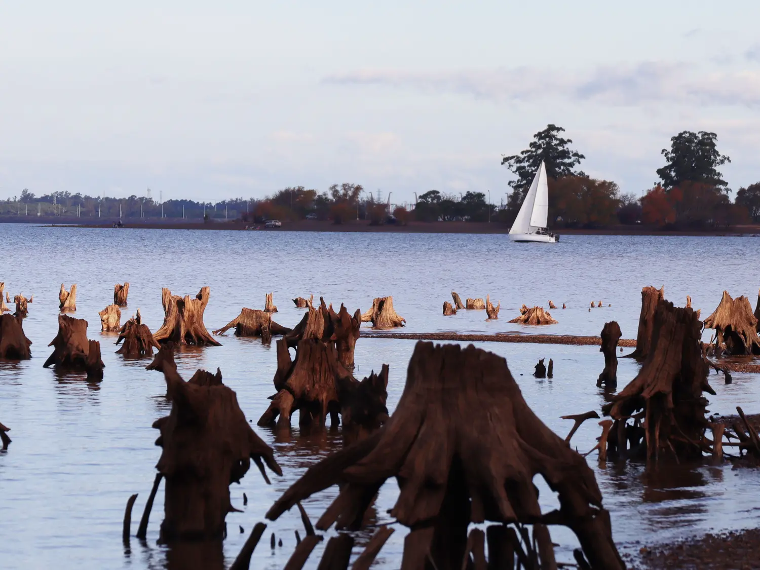 El río Uruguay mantiene tendencia ascendente y llegaría a los 11,50 en el puerto de Concordia