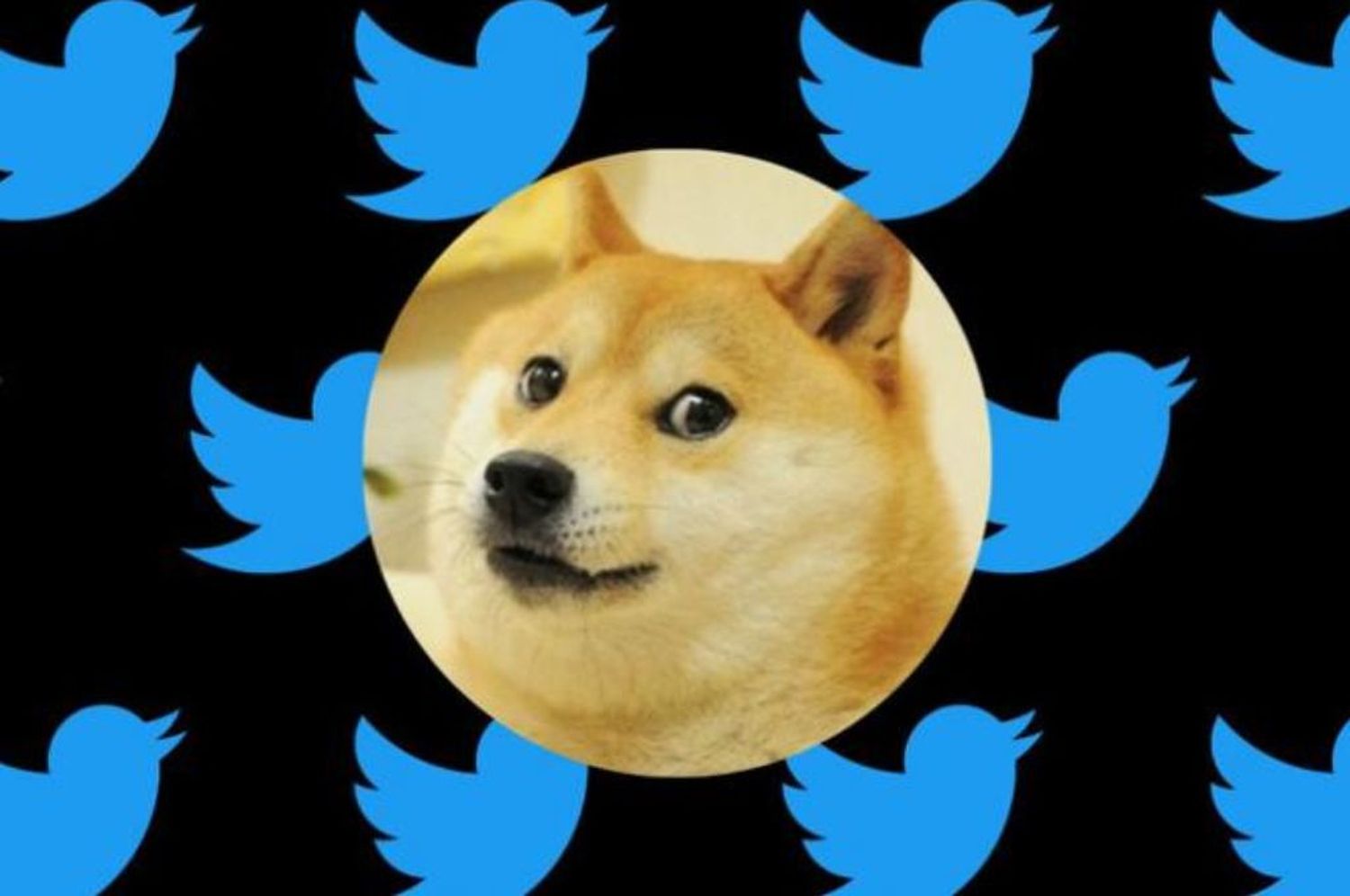 Qué significa el perro en el logo de Twitter