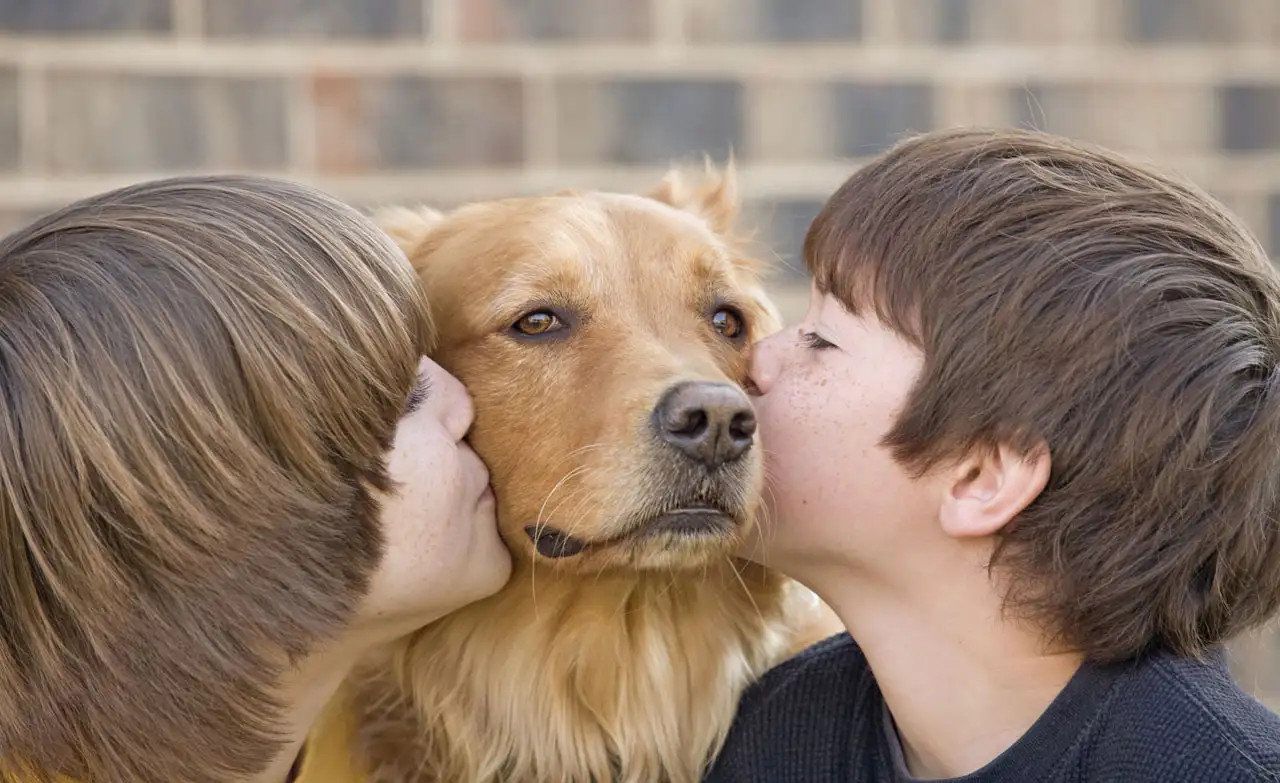 Organizan una campaña para la tenencia responsable de mascotas