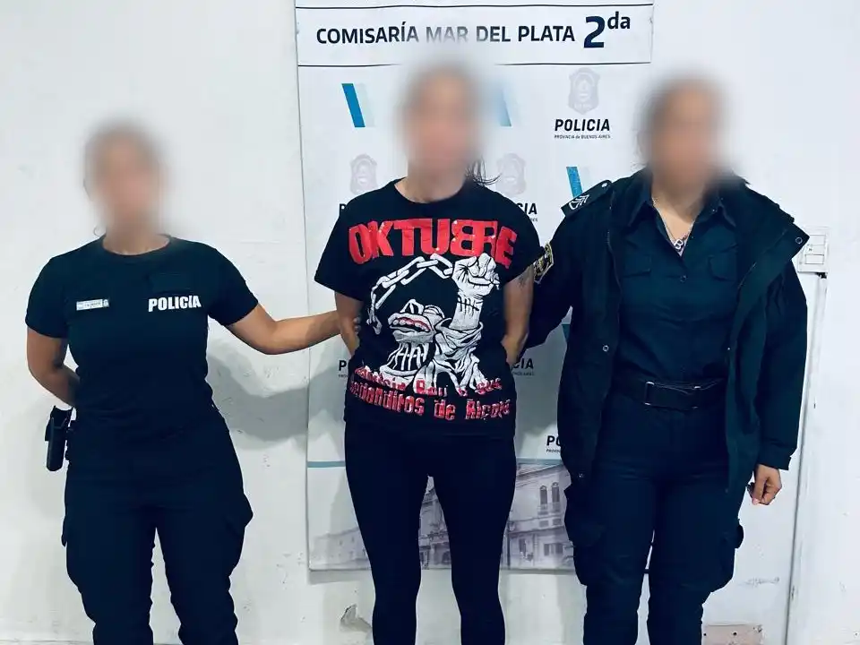 Una mujer de 43 años fue detenida acusada de participar en un intento de robo dentro de un auto estacionado.