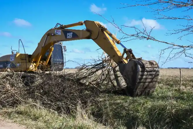 La Municipalidad trabajará en el control de especies arbóreas que afectan los caminos rurales