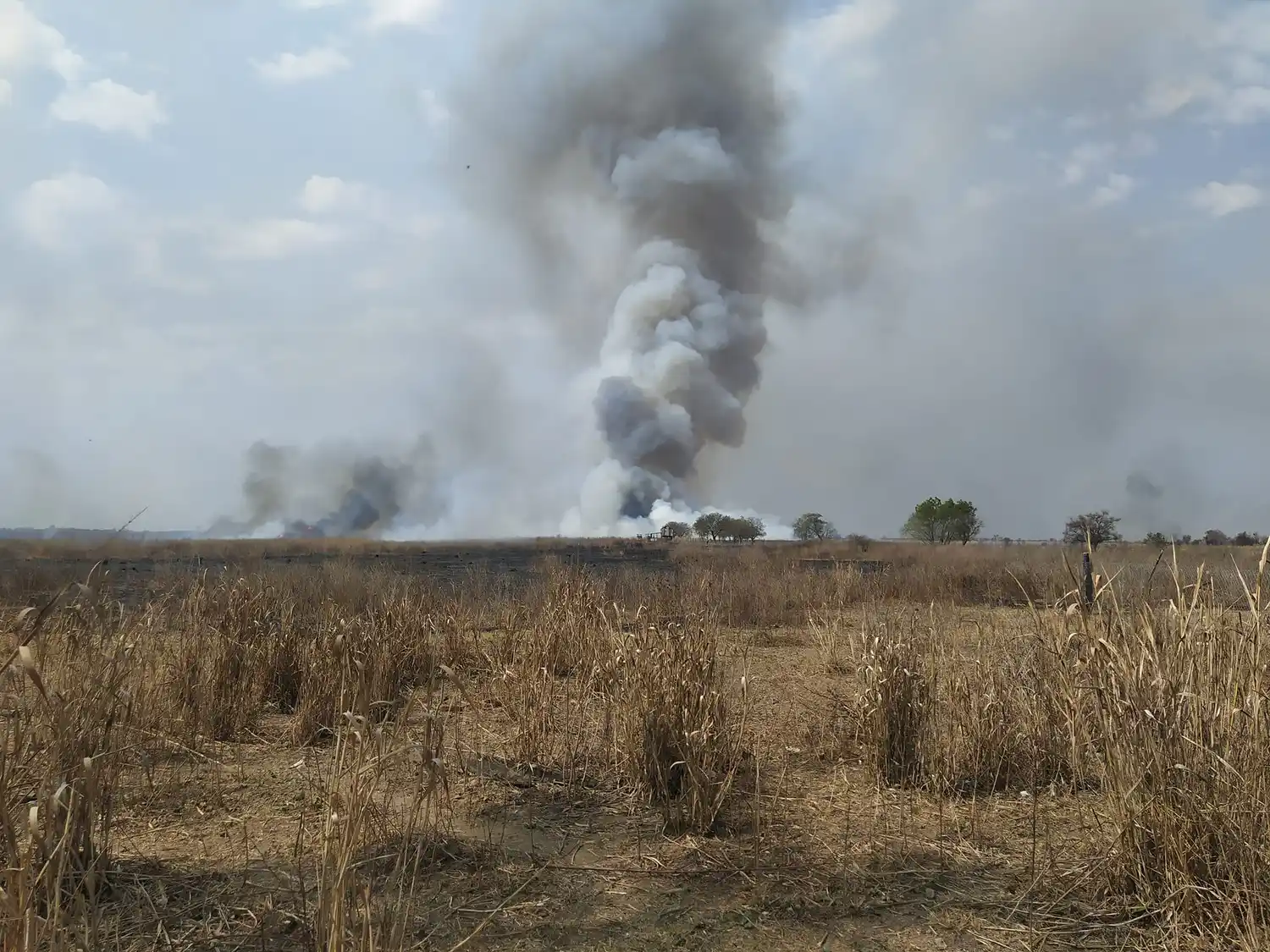 El fin de semana habrá una nueva movilización al Puente Rosario – Victoria en reclamo por la quema en las islas