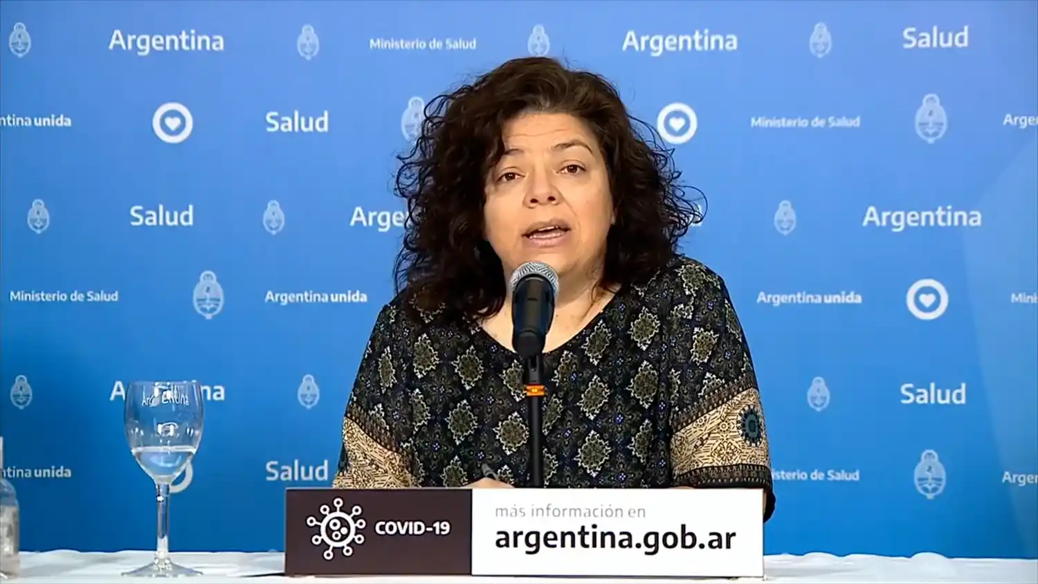 COVID-19: Vizotti encabeza una reunión con los ministros de salud de todo el país