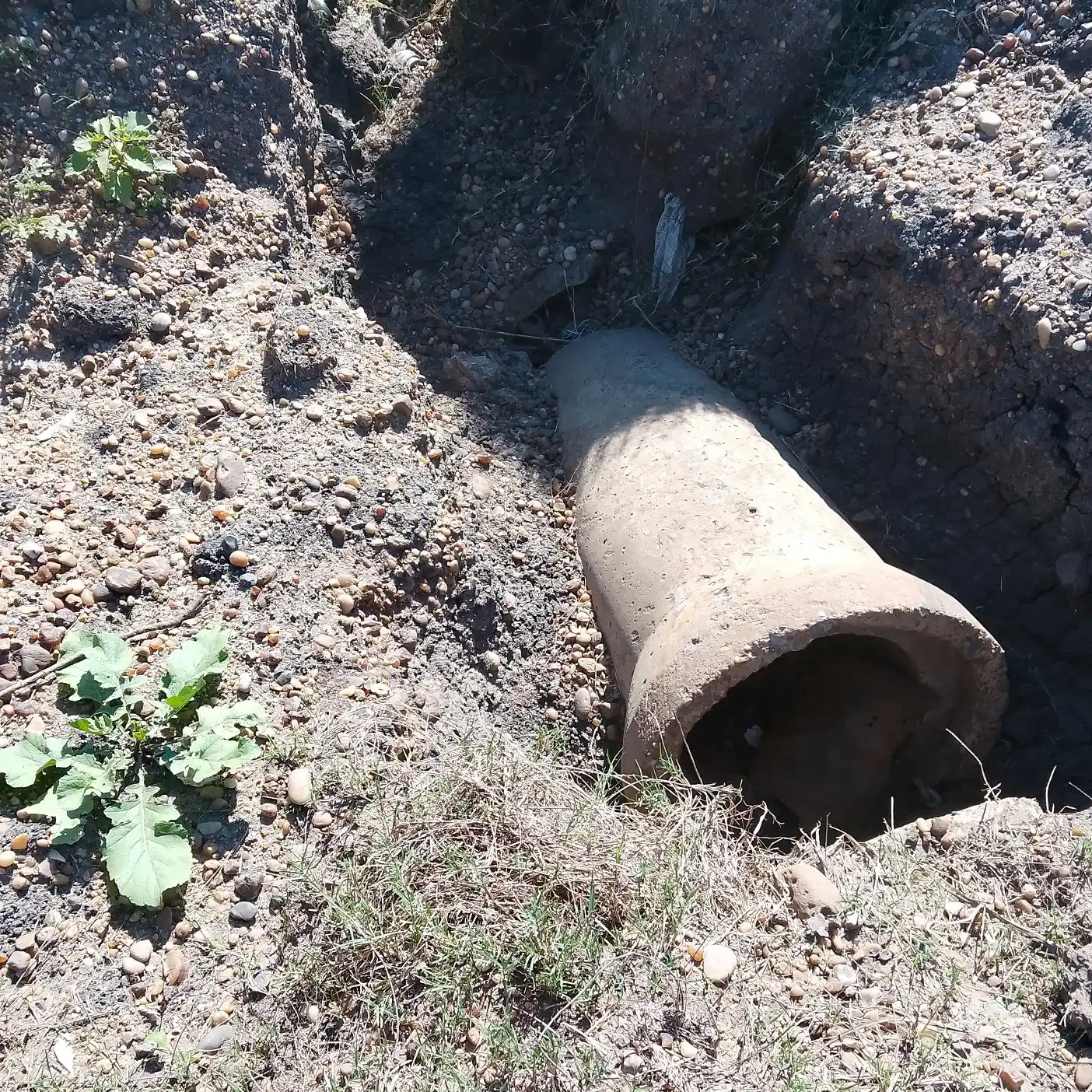 Reclamo de vecinos por el deterioro de un camino rural de Estación Yeruá