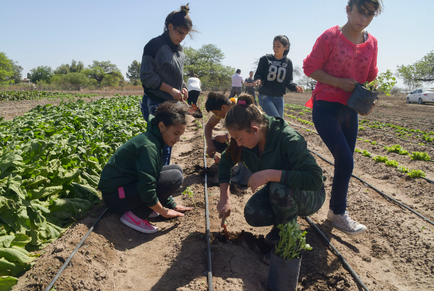 Provincia financiará proyectos para impulsar el arraigo joven en el campo: De qué se trata