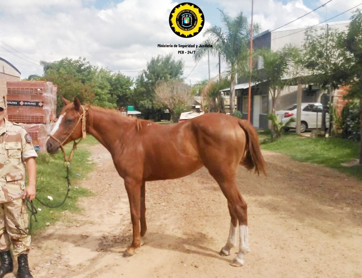 Operativo policial recuperó animales sustraídos