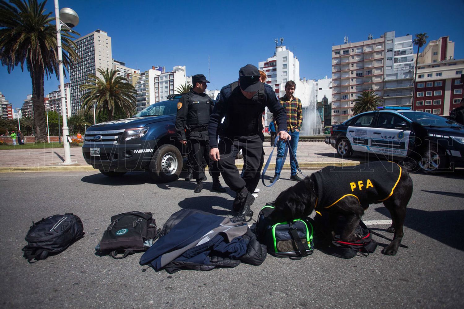 Presentaron el plan de trabajo de “Mar del Plata segura”