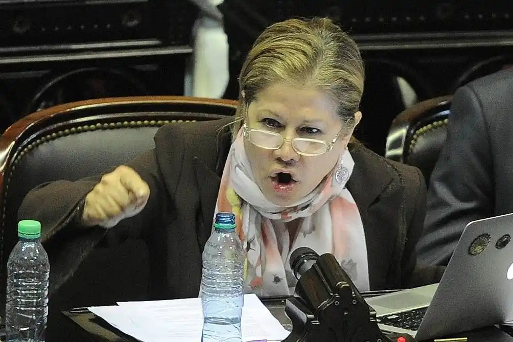 Graciela Camaño: "Si Cristina hubiera dado un paso al costado no habría empoderado a La Cámpora"