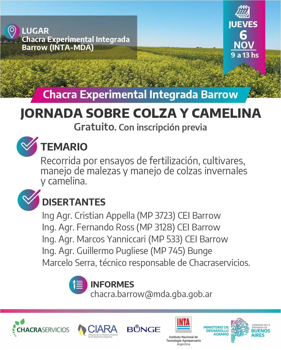 nueva banner camelina