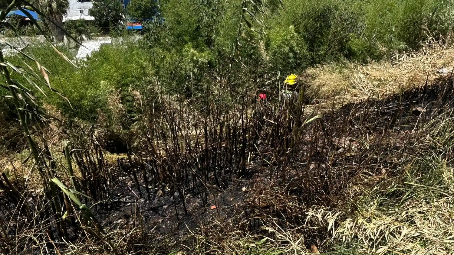 barranca incendiada bomberos