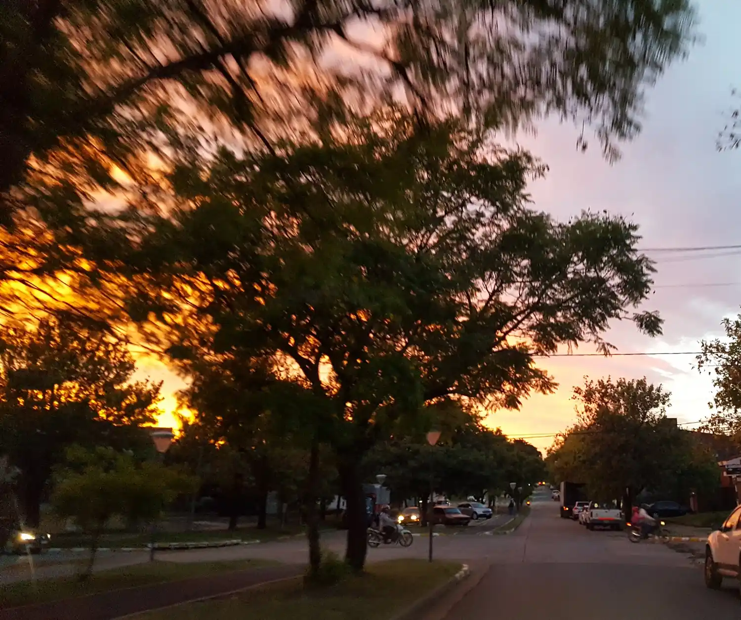 Con las tasas de alergias en aumento, ¿cómo podemos reconciliar nuestros estilos de vida cada vez más urbanos con lo que necesitamos para nuestra salud?