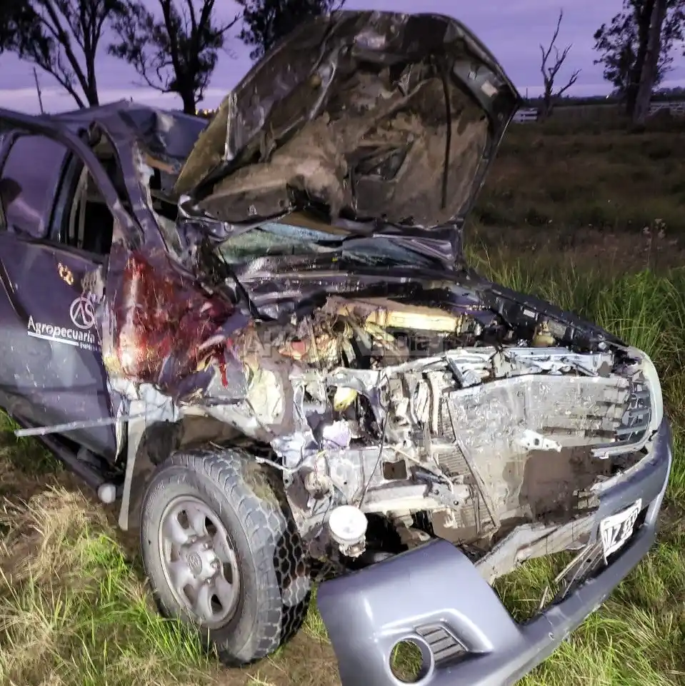 Iban a trabajar en camioneta e impactaron violentamente contra un caballo suelto