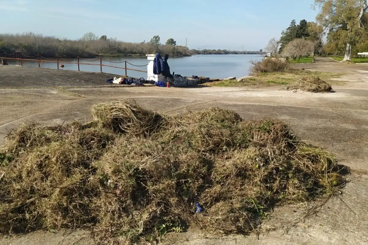 Realizan un nuevo paseo público en el predio del Ex Frigorífico