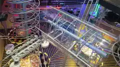 ¡Mirá esto! La montaña rusa no es solo para humanos