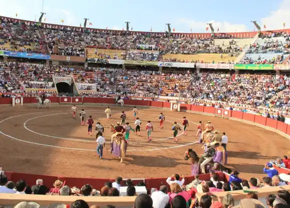 ¿SE BURLARON DE SAAB? Corridas de toros siguen en Venezuela