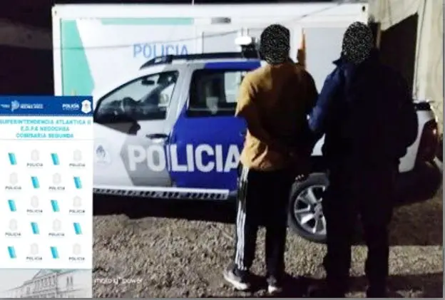 Aprehendido por daño y robo