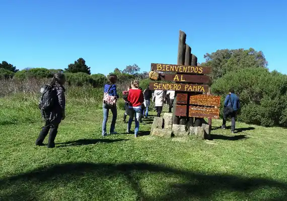 "Red nativa, cultivando comunidad": el proyecto de Sendero Pampa para preservar el medioambiente