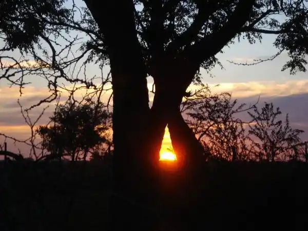 Hay una amplia oferta de fiestas populares para este fin de semana