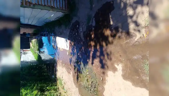 Cloacas rebalsadas en Brenan 1000