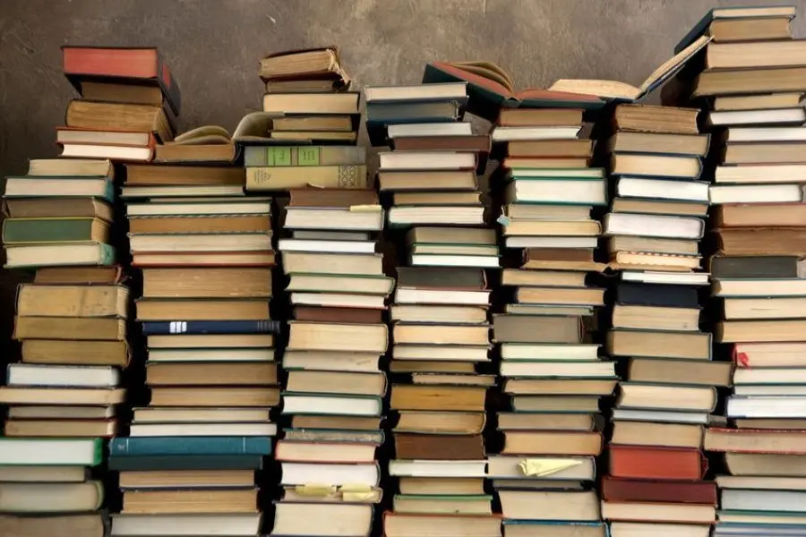 Comienza el ciclo de "Encuentros de lectura y poéticas para la infancia"