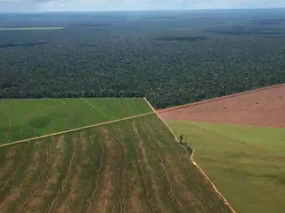 Ley de Tierras: reforma libera compra de extranjeros y elimina restricción tras incendios