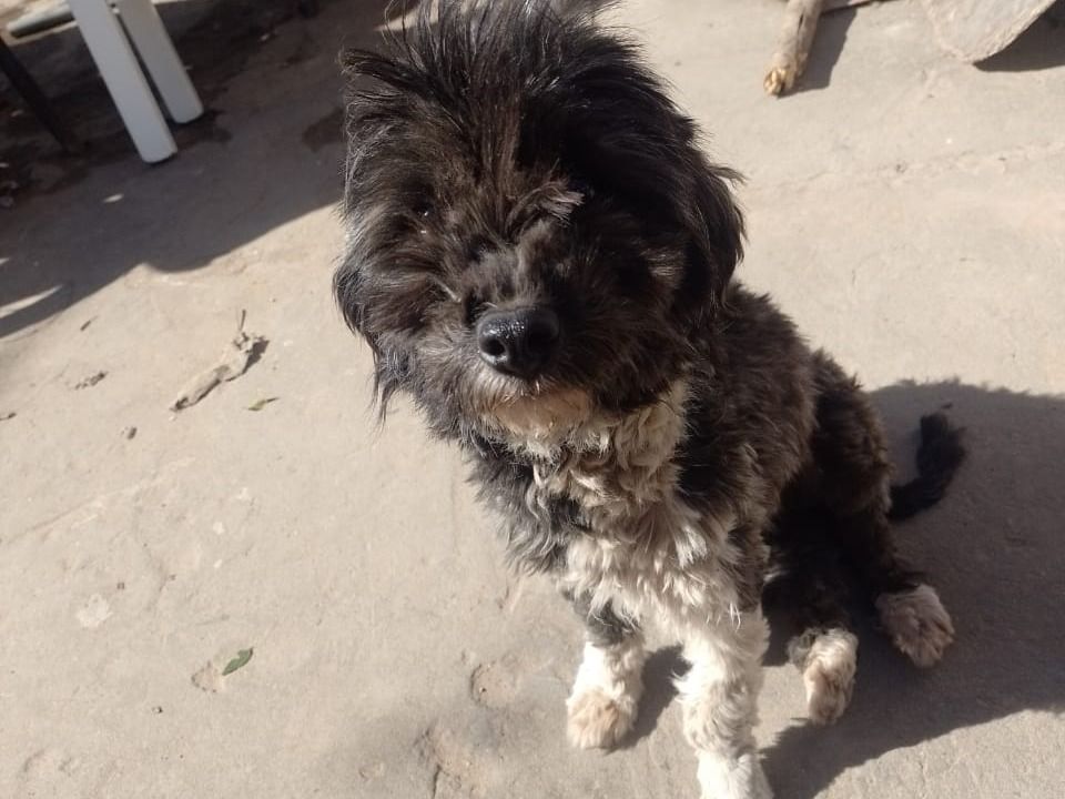 Buscan a la familia de esta pequeña