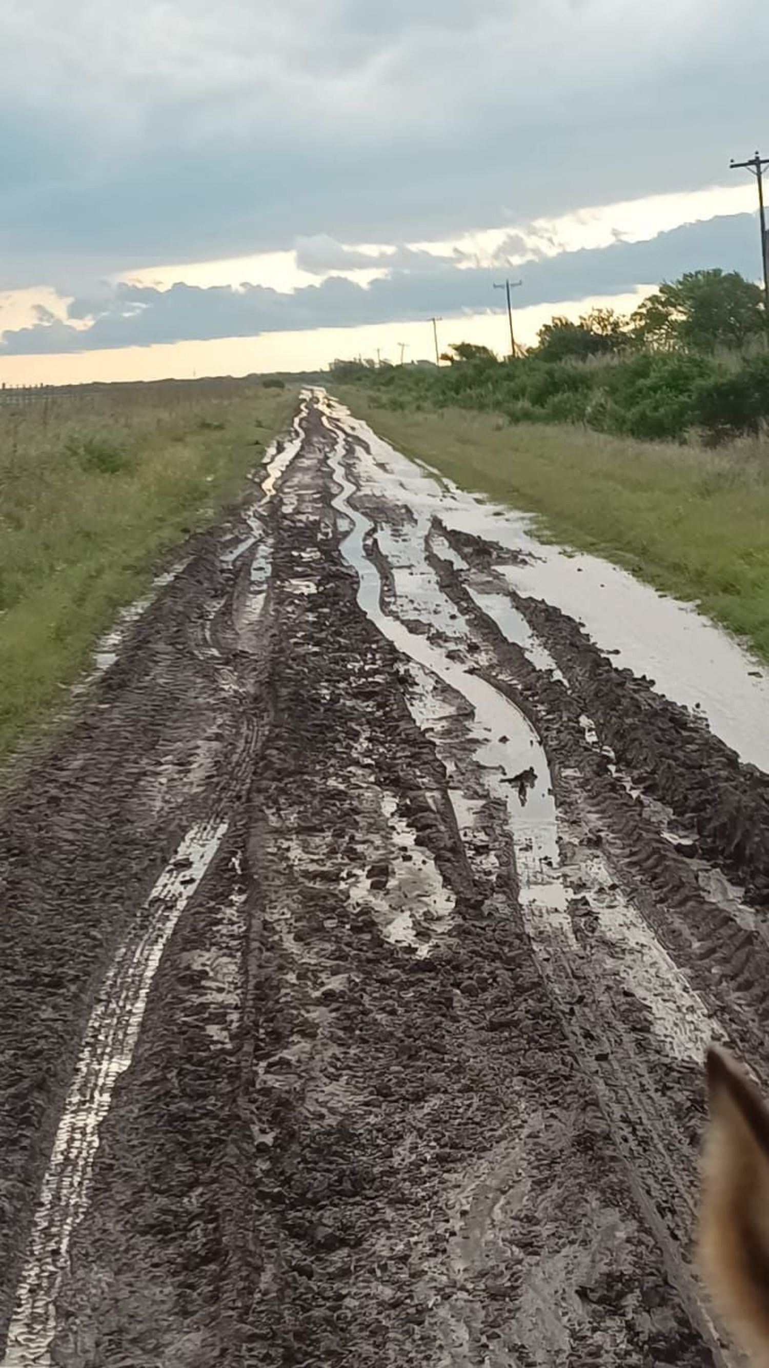 Los residentes reclaman mejoras y mantenimiento permanente de los caminos.