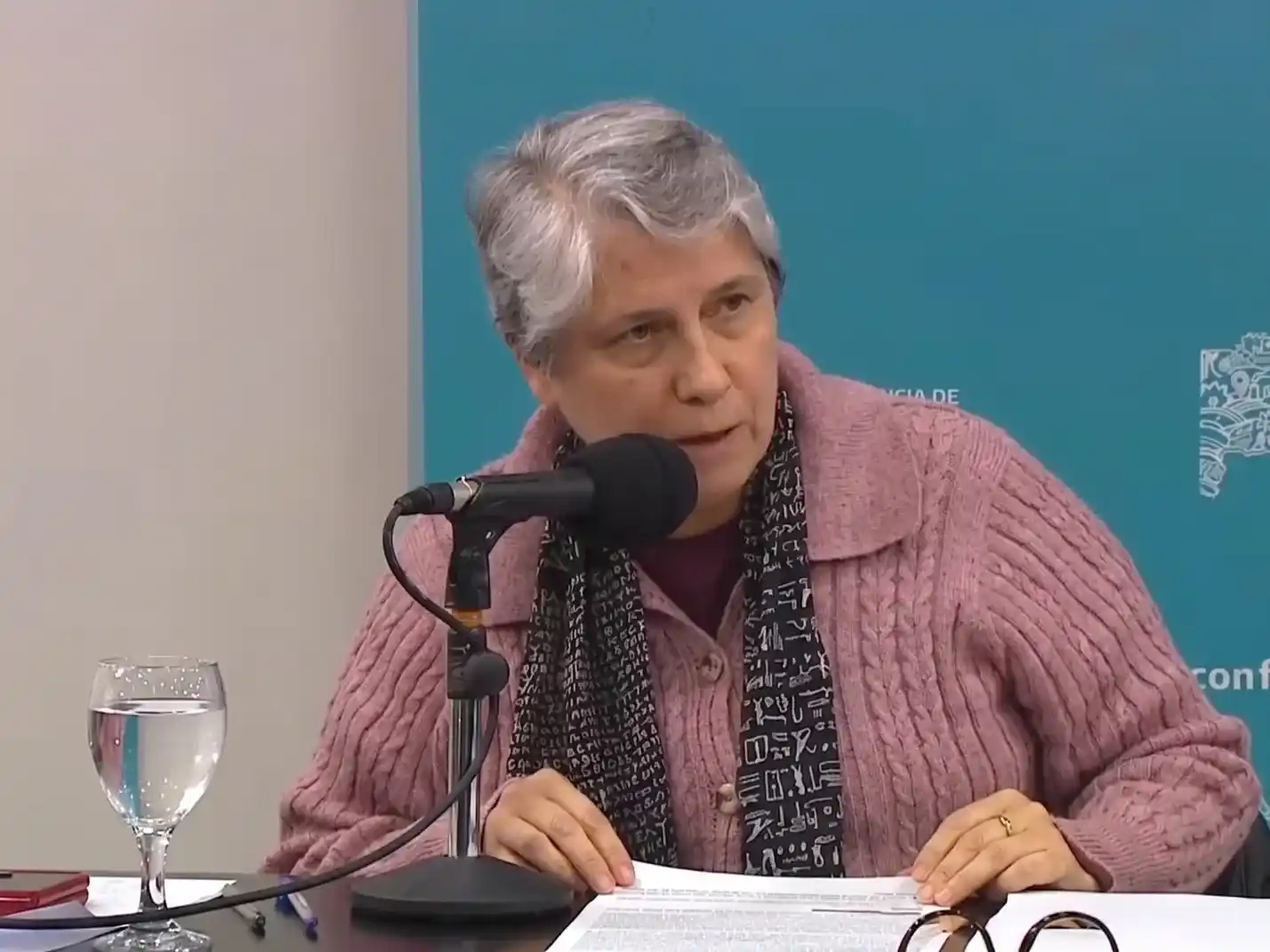 Terigi defendió los resultados de la prueba Aprender y destacó mejoras en lengua y matemática en la Provincia