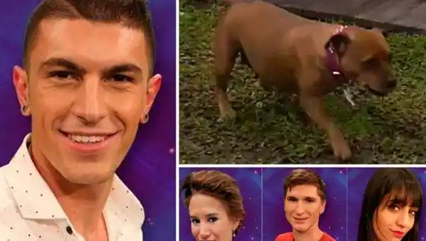 Gran Hermano: 3 nominados, un expulsado y un ingreso “perruno”