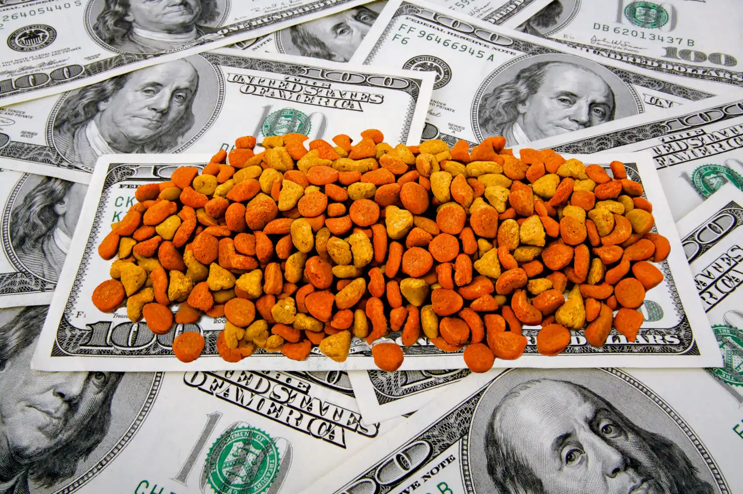 La Justicia detectó operaciones de fraude de divisas en el comercio exterior