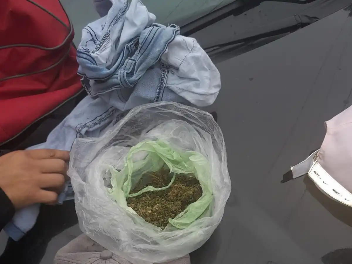 Dos demorados por tenencia de marihuana.