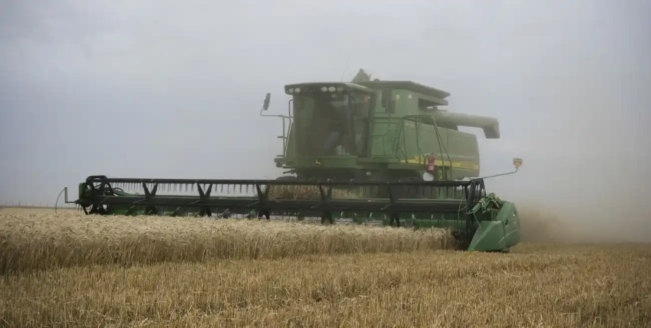 Por el lado de las cosechadoras, de enero a junio de 2025 se registraron ventas por 558 unidades, un 24% por encima del promedio.