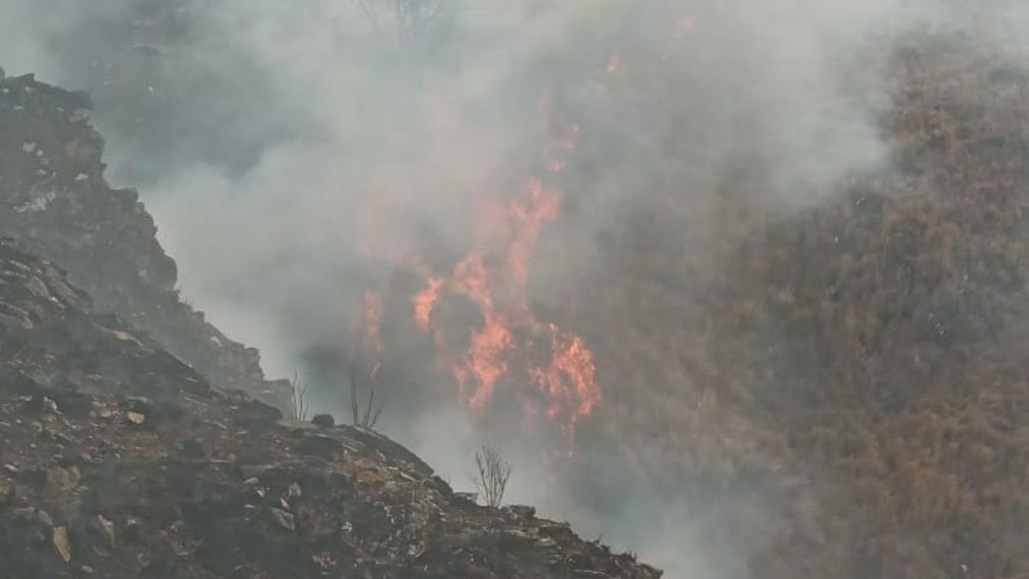 Brigadistas combaten un gran incendio de pastizales en Tucumán