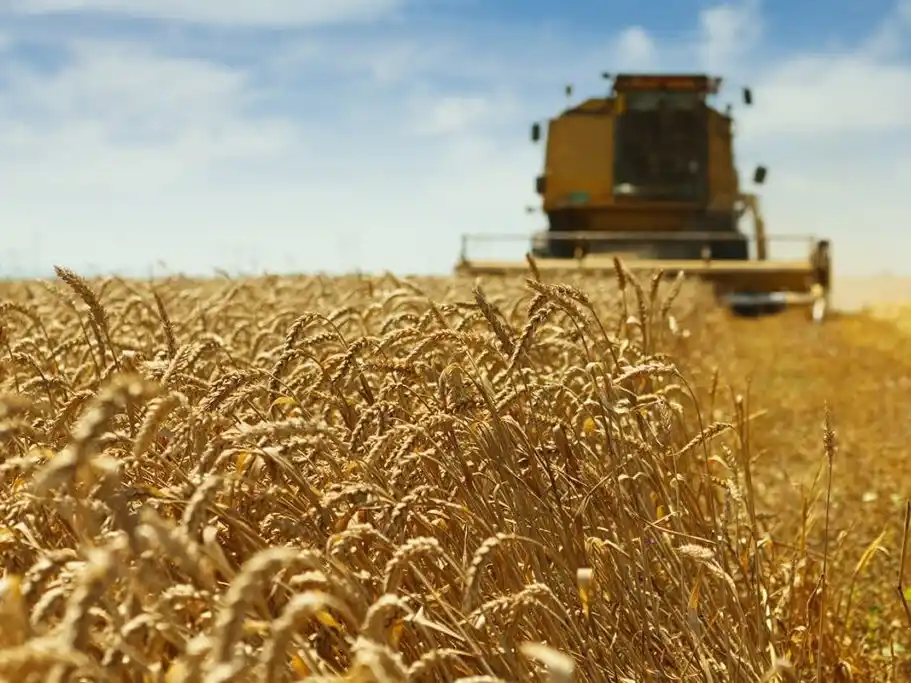 La agroindustria empuja las exportaciones y refuerza su rol como generadora de divisas en 2025