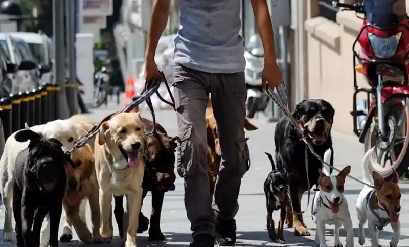 Cuarentena en la Provincia: Autorizan nuevas actividades en trece municipios del Área Metropolitana