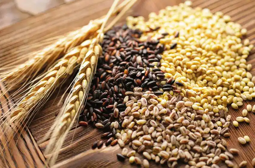 Cereales: una fuente de energía