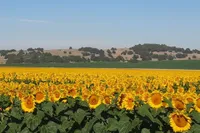 Federación Agraria Tandil: en contra de la "extranjerización de la tierra" y el aumento de retenciones