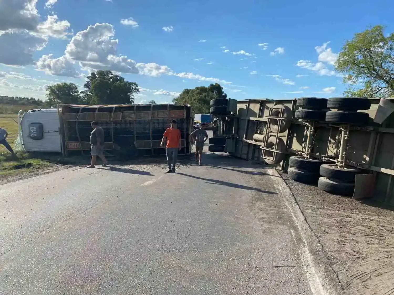 Trágico accidente en Las Flores: volcó un camión con vacunos en Ruta 3 y varios animales murieron