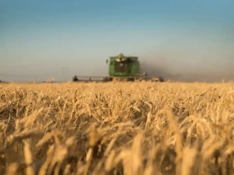 Las zonas del centro y norte del área agrícola muestran intenciones de siembra superiores a las del ciclo previo